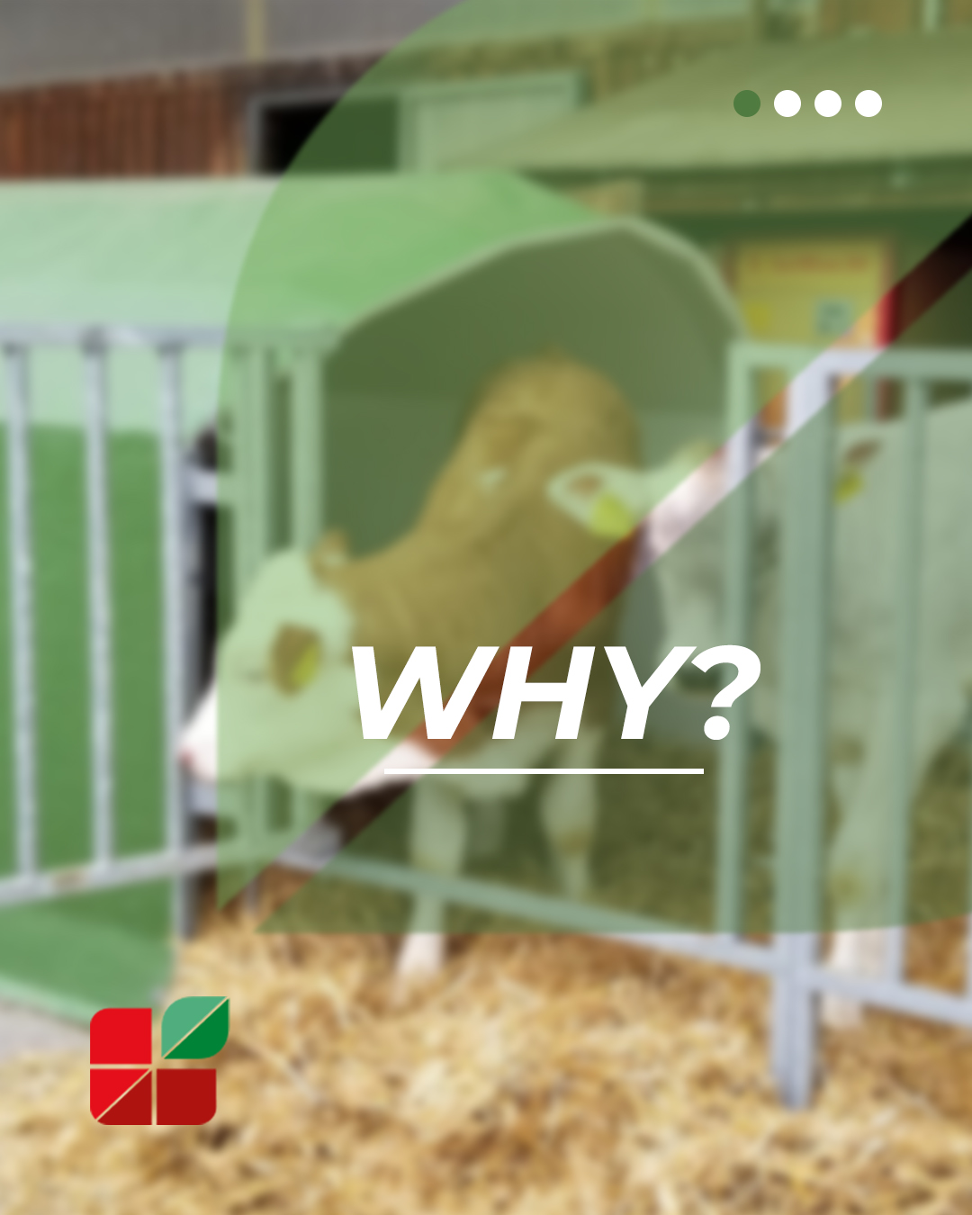 🌱🐄 Why thermal insulation matters more than ever in livestock farming.
Modern farming is not only about feeding animals — it’s about creating the right environment for their wellbeing and performance.
Temperature fluctuations can affect:
📉 feed quality
💧 water systems
🐄 animal comfort and productivity
That’s why materials with good thermal insulation are becoming increasingly important in modern farms.
Fiberglass solutions offer:
✔️ reduced heat transfer
✔️ better protection against weather conditions
✔️ durability without corrosion
✔️ lower maintenance over time
From feed storage to animal housing, choosing the right materials can help improve efficiency every single day.
Because better environments help create better farming results 🌍
#Agritech #Fiberglass #LivestockFarming #AnimalWelfare #AgriTech 🌱
