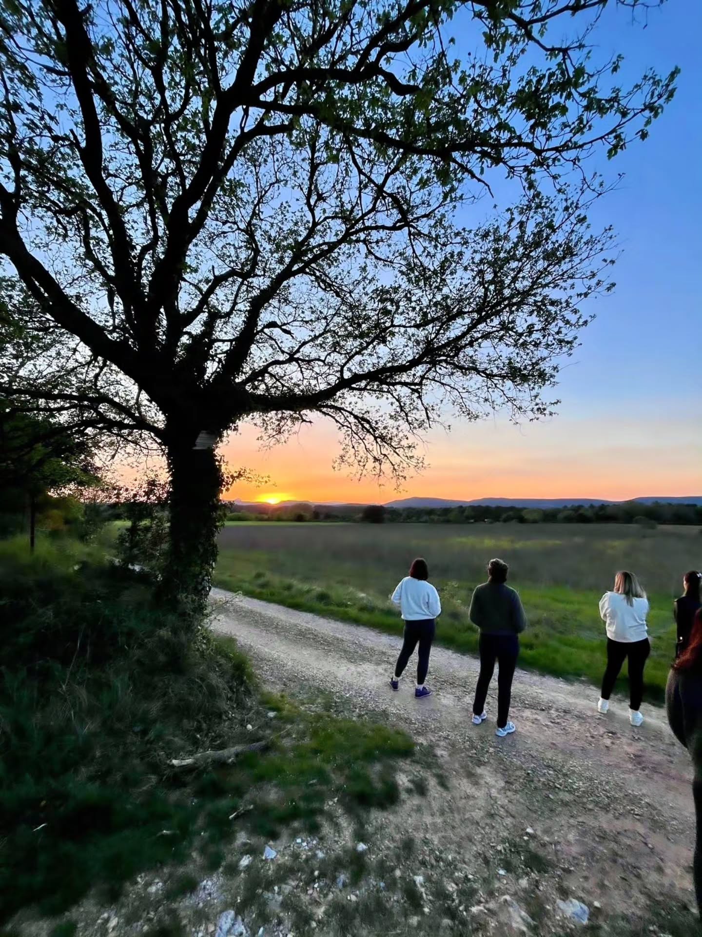 🌅 Le rituel d’aller voir à 2 min à pied le coucher de soleil sur le Pic Saint-Loup.
Un moment simple, hors du temps.
Marcher, respirer, regarder la lumière disparaître derrière les collines.
Le saviez-vous ? Ici, le soleil se couche environ 15 minutes avant l’heure indiquée sur les applications météo, car les collines le cachent plus tôt.
#villajema #picsaintloup #retraitebienetre #suddelafrance #suset