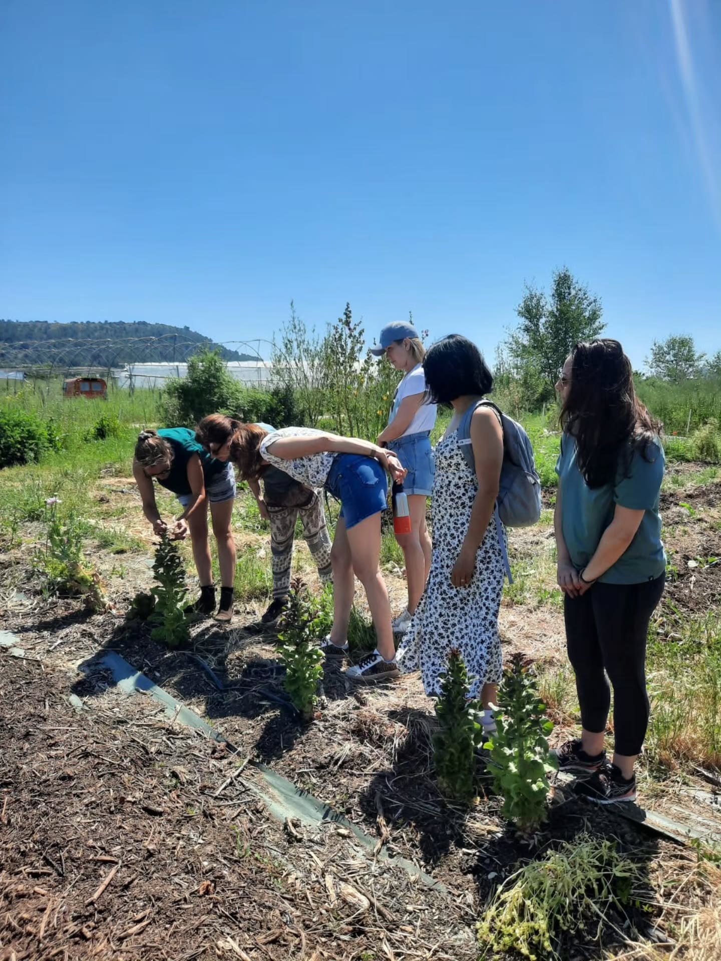 Retour en images sur la dernière retraite Bloom avec Karen @lacabane.yoga.studio
Pendant 4 jours, 9 participantes se sont réunies autour de Karen pour fêter le printemps 🌱 Au programme : pratique du yoga, lien avec la nature avec un bel atelier jardinage guidé par Armelle de la pépinière @lepiedelaplante.
La Villa Jema a accueilli les énergies lumineuses de ce groupe avec des partages, des rires, des émotions et beaucoup de bonne humeur.
Quoi de mieux pour fêter le printemps 🌺 ?
Merci à Karen pour sa confiance renouvelée. Un beau moment comme la Villa Jema aime en accueillir.
